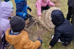 db05cd5c-9fd7-49d7-85da-dd5112289351