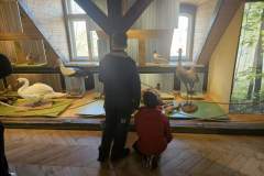 Messenger_creation_C15CFA42-5C3D-4677-8B83-F1BB4FFFF54E