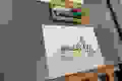 448684359_1068539048215506_7206950295750551369_n