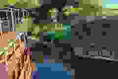 448757809_1068538884882189_6619860811108858075_n