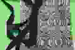 421965446_2861134127387669_2270777805273412292_n