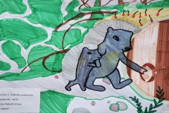 Skaidre14