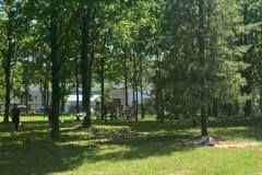 454e1fb5-dbf3-4e15-b888-af30312ff86e