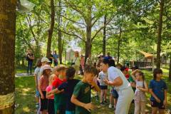 e970a6a7-4d6b-43d1-944c-97e8a5fb2a8f