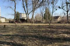 653715195_1596902532045819_8346959185182103154_n