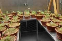 5a04f92d-7b05-4b68-9260-15adc90c5549