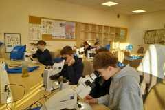 8f16c1d2-6a48-45ba-ab37-1bd0f816ac8a