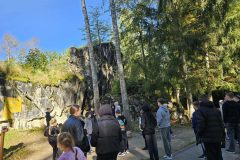 93abd1c9-4fa3-47d6-8e9c-cd06367d7759